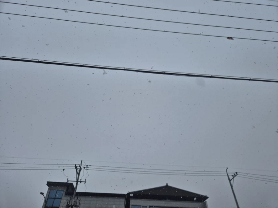 눈 많이옴_1.webp