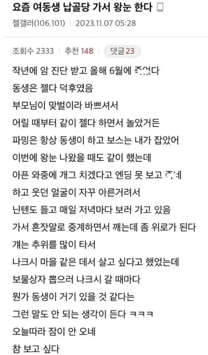 여동생 납골당 가서 닌텐도 하는 친오빠_1.webp