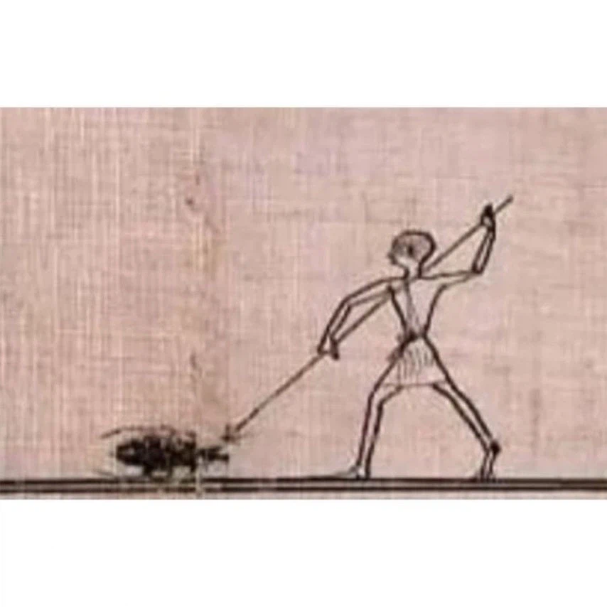 고대 포켓몬 현실 고증_3.webp