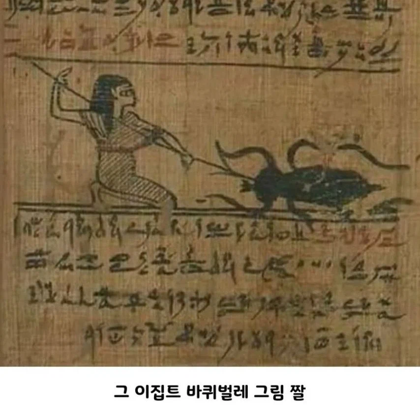 고대 포켓몬 현실 고증_6.webp