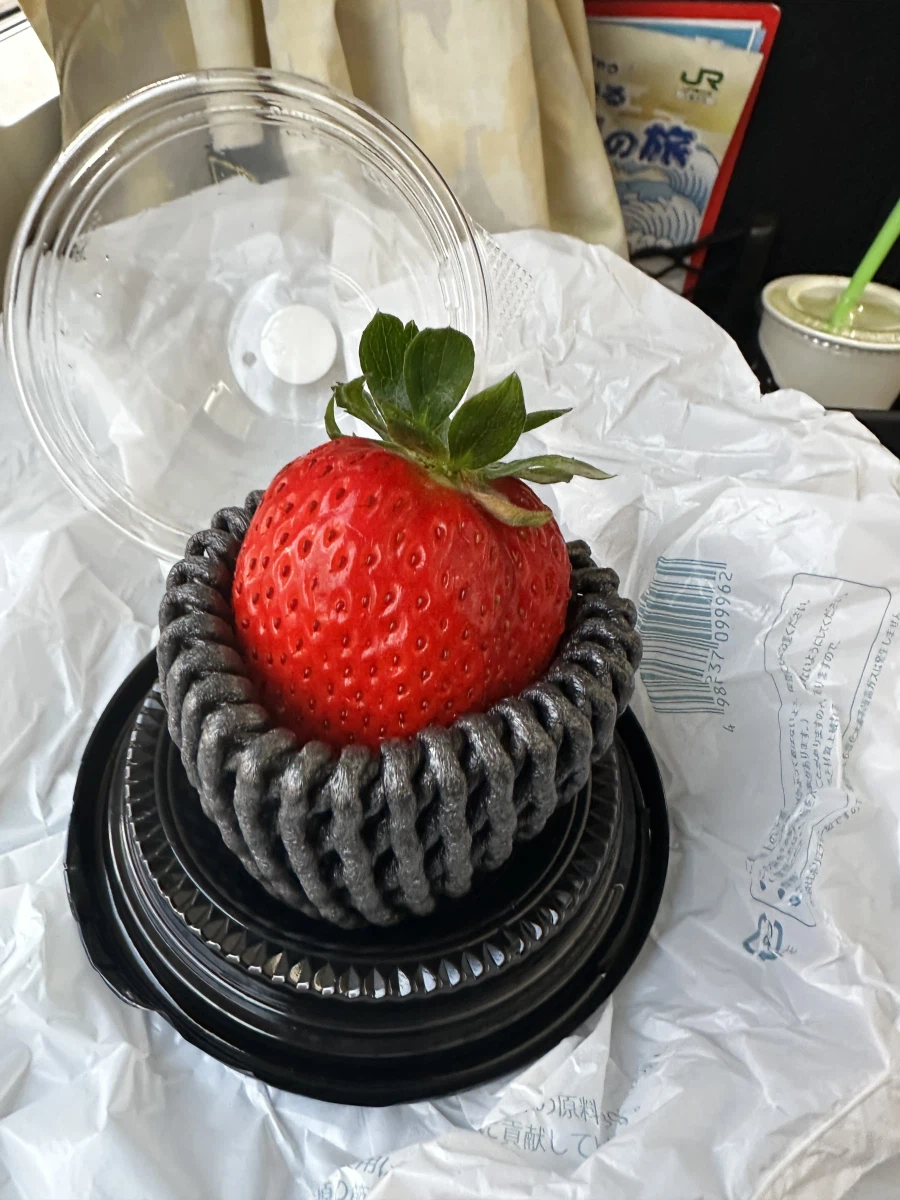 돼억시니) 도쿄여행가서 돼지처럼 먹고 온 돼억시니입니다_30.webp