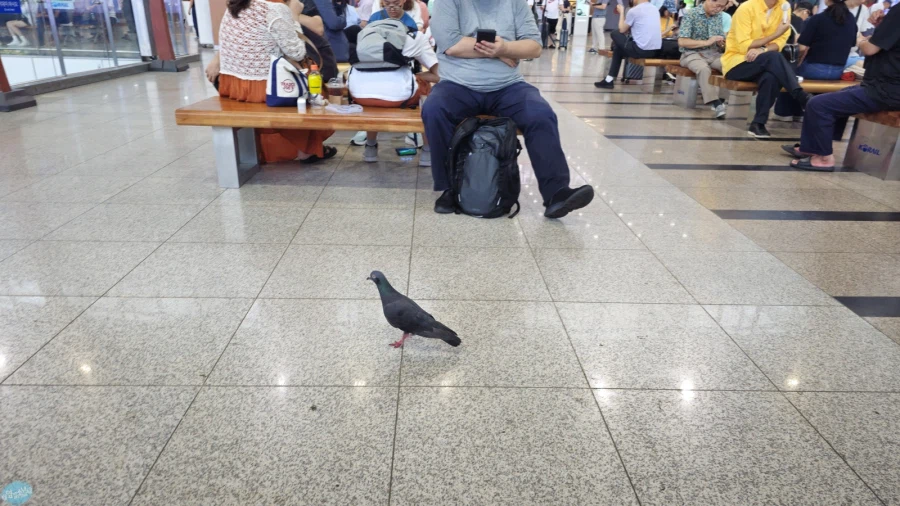 덕후들 지갑을 노리는 도파민 스테이션.. 서울 나홀로 여행 3일차_78.webp