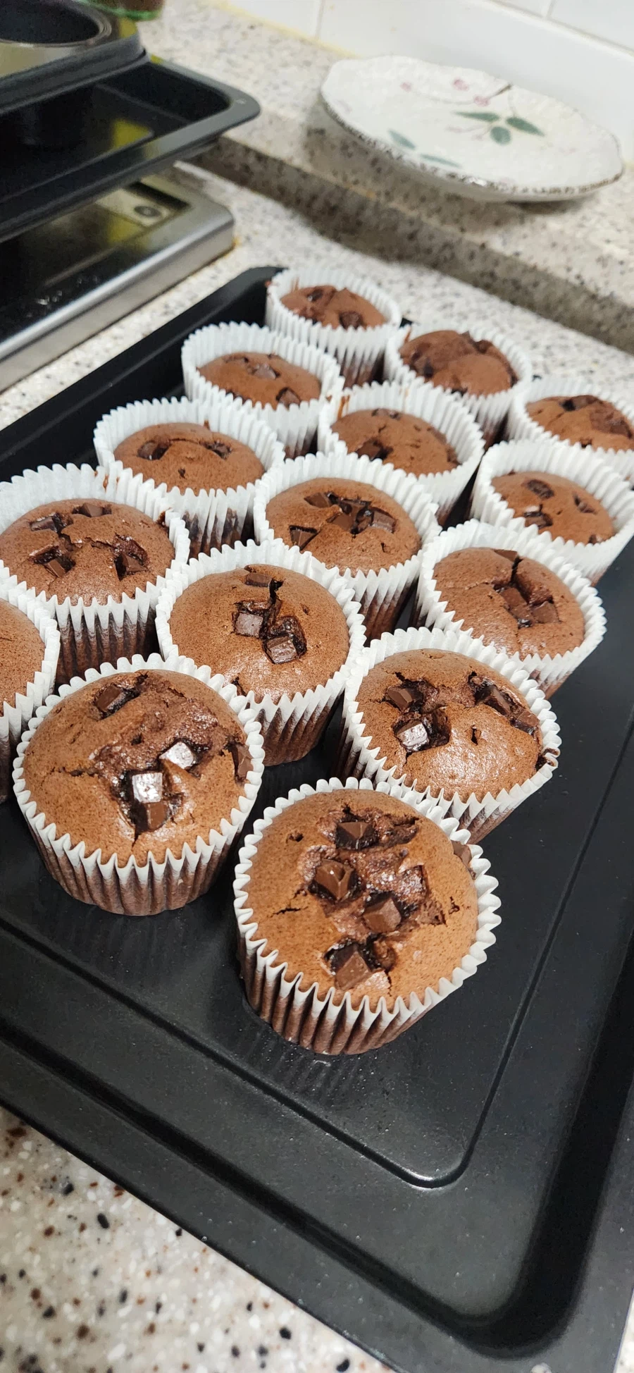 직장동료들 살찌우는 취미생활3_1.webp