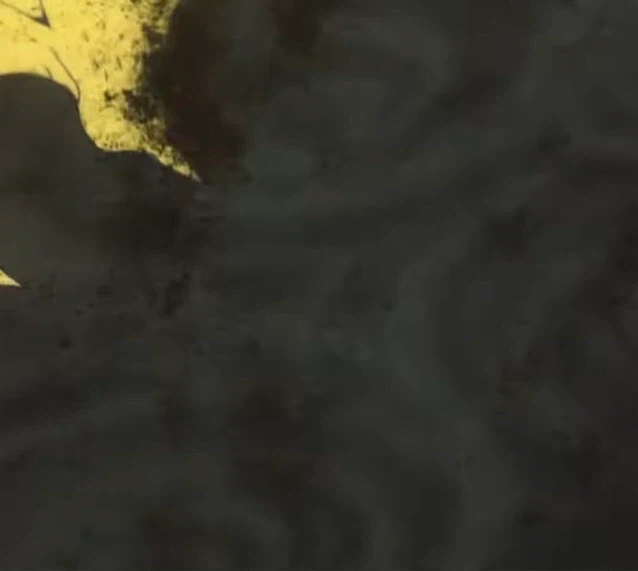 건담) 월광접은 의외로 사람은 안 죽인다_4.webp