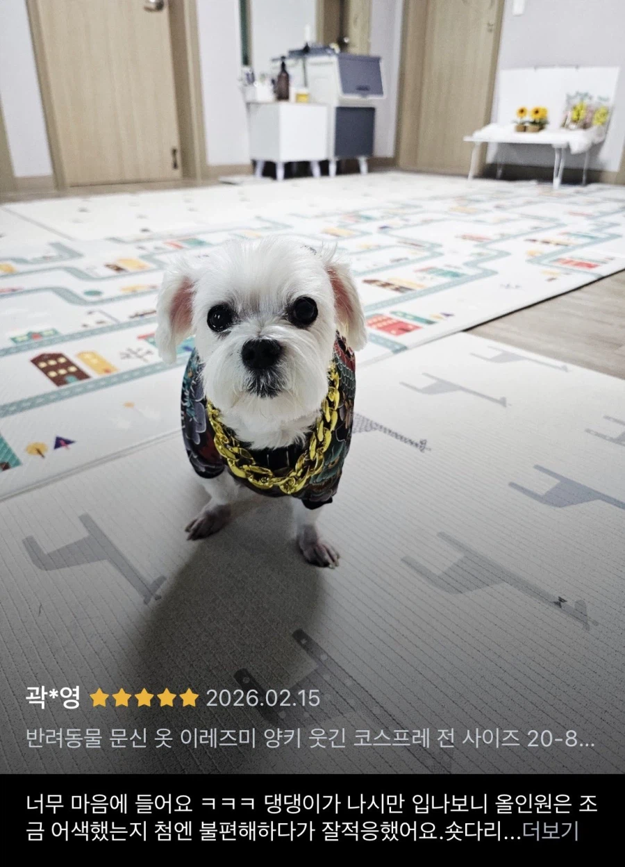 입혀놓으면 귀여운데 산책시킬때 부끄러운 강아지옷_4.webp