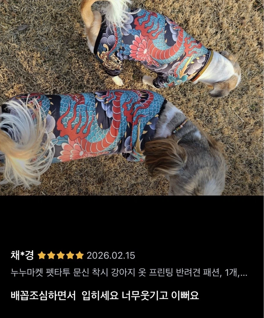 입혀놓으면 귀여운데 산책시킬때 부끄러운 강아지옷_6.webp