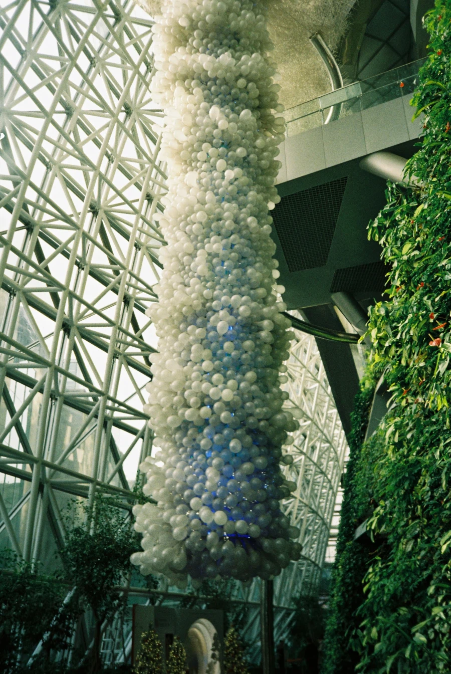 렁탕 렁탕 설렁탕_6.webp