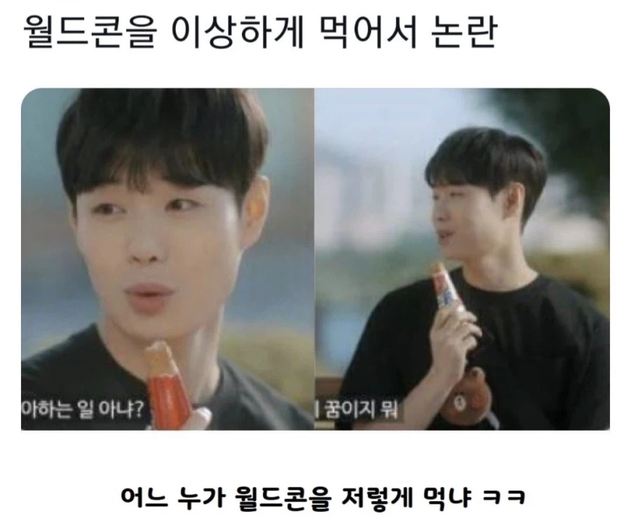 월드콘 논란_1.webp