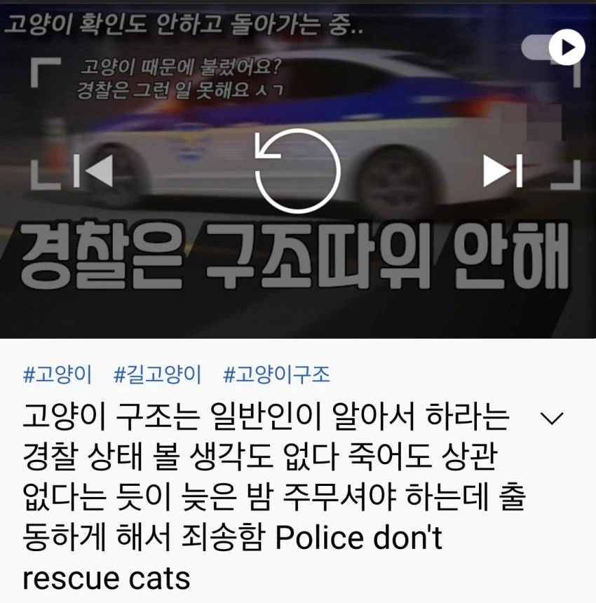 욕처먹고 스스로 영상을 삭제한 캣어머니_1.webp