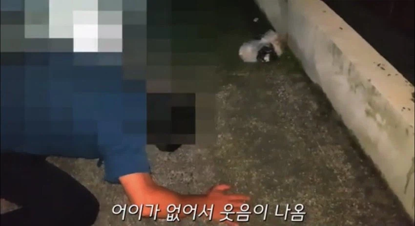 욕처먹고 스스로 영상을 삭제한 캣어머니_2.webp