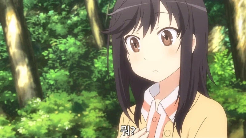 "산에 막 들어가서 채취하면 혼나는거 아닌가요?"_4.webp