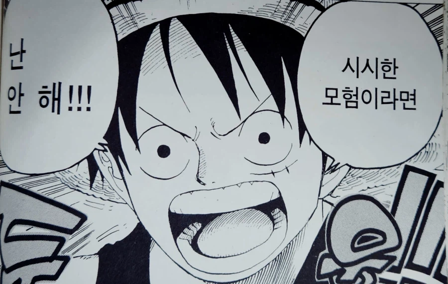 원피스) 루피의 관점으로 바라보는 6억 권 판매 기념 기획_30.webp