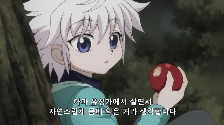 헌터x헌터) 쇼타 키르아 기엽다_2.webp