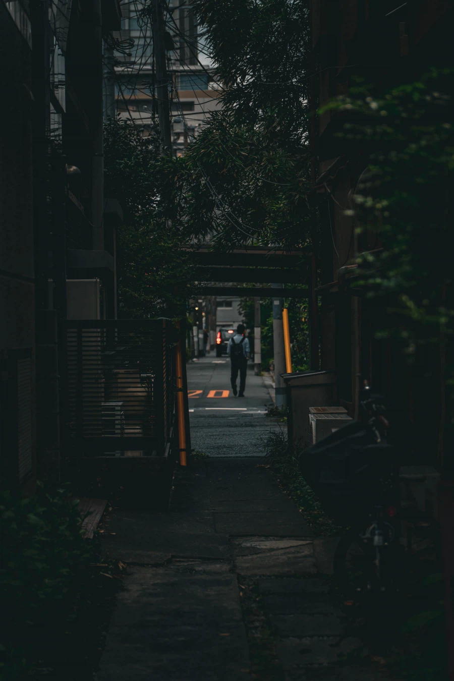 다들 일본일본 하니까 작년 일본여행 생각나네_3.webp