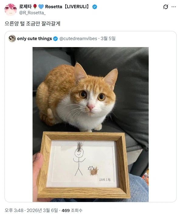 로제타 : 으른양 털 조금만 잘라갈게.jpg_1.webp