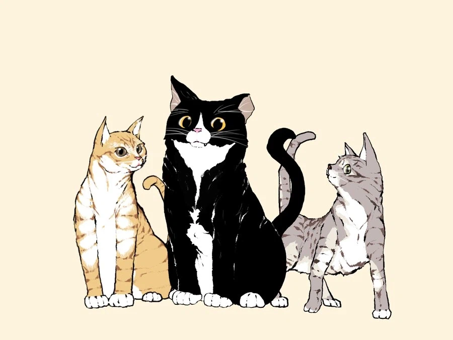 커미션 홍보 해 봅니다!_13.webp