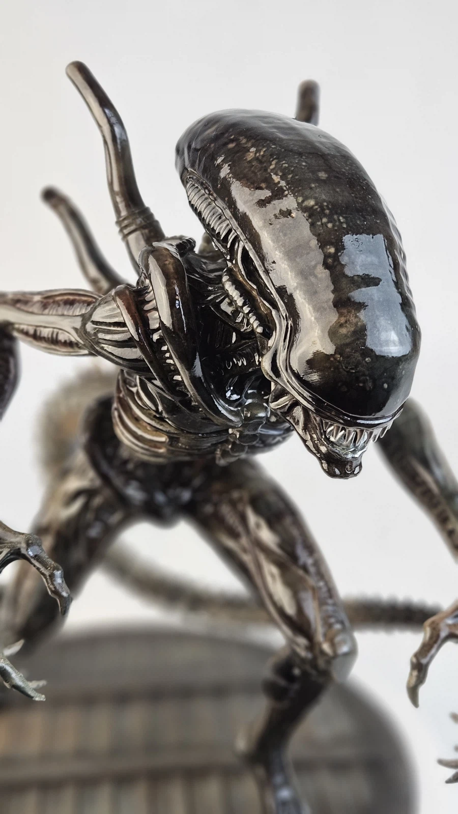 ALIEN [Xenomorph 제노모프]_20.webp