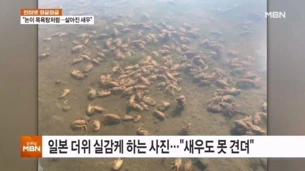 한국인들 일본 여름 휴가 여행 갈때 최대 난관.jpg_8.webp