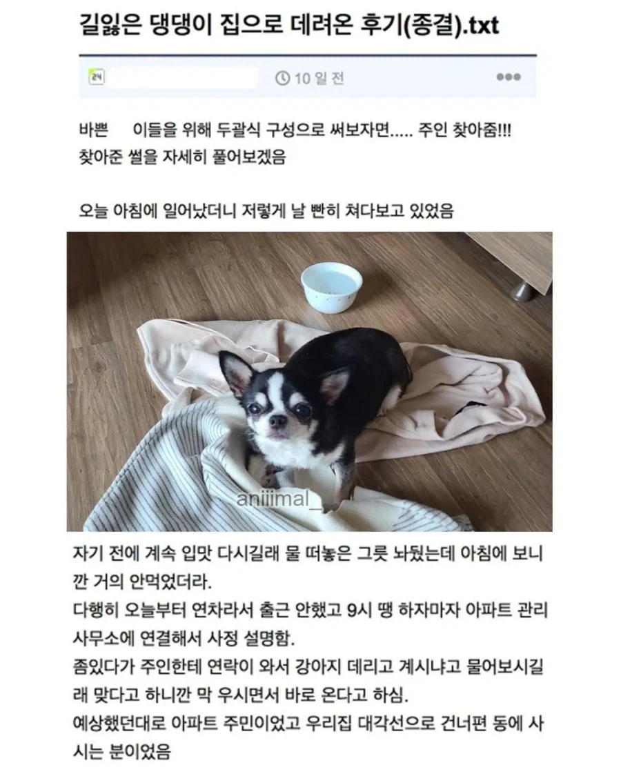 아파트에서 들개(?) 줍줍한 사람.jpg_7.webp