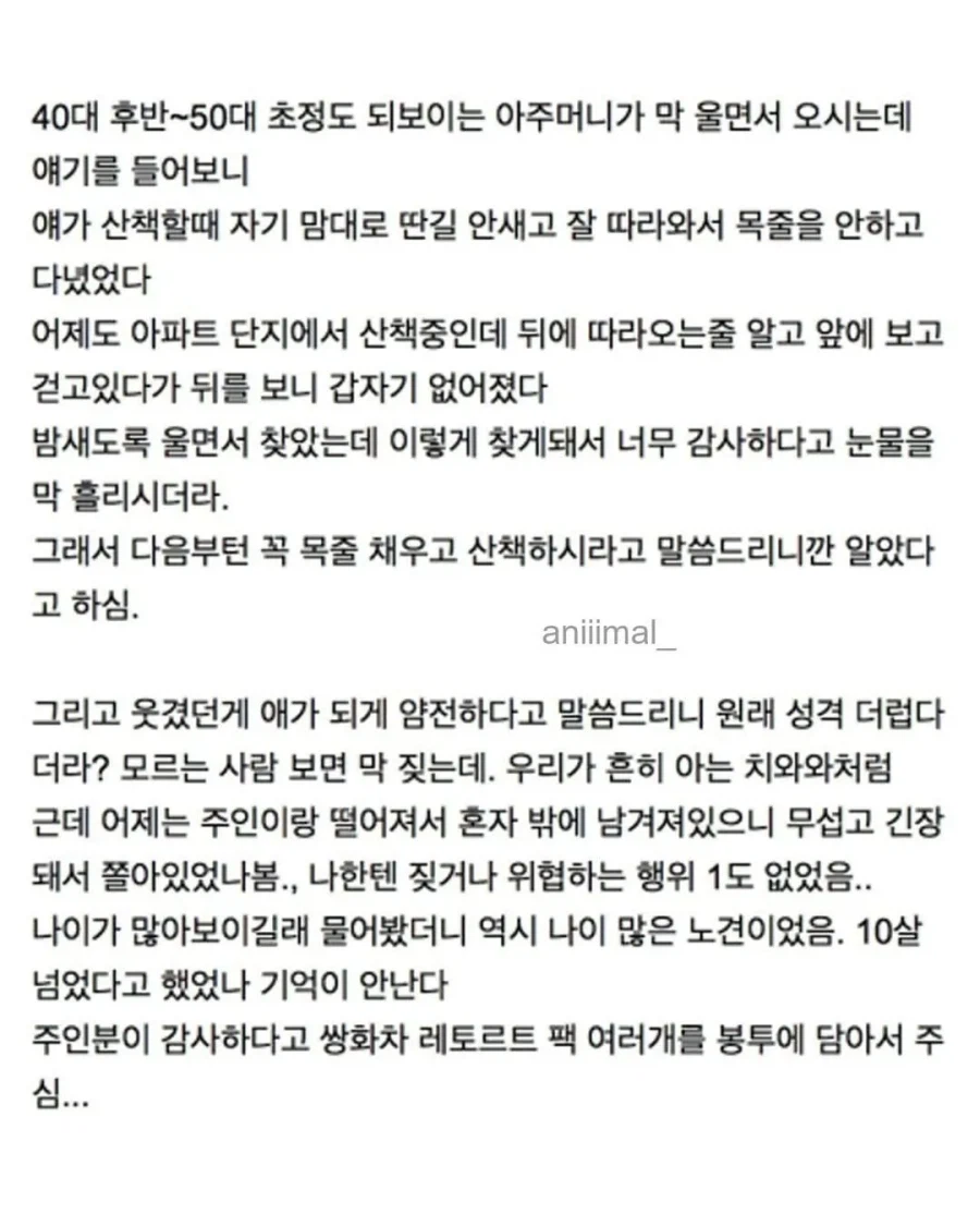 아파트에서 들개(?) 줍줍한 사람.jpg_9.webp