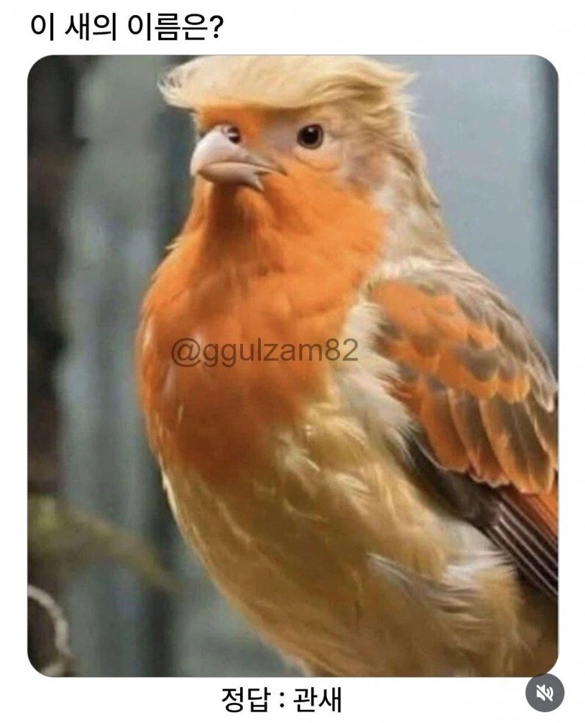 이란전쟁) 미국 근황_1.webp