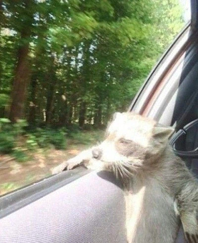 진짜 커뮤에는 난독 뒤지게 많긴하구나_4.webp