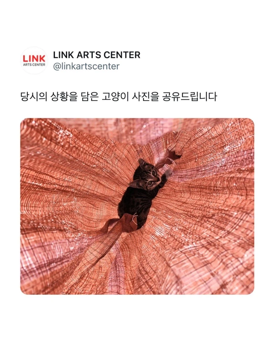 한 뮤지컬 사과문이 논란이 된 이유_3.webp