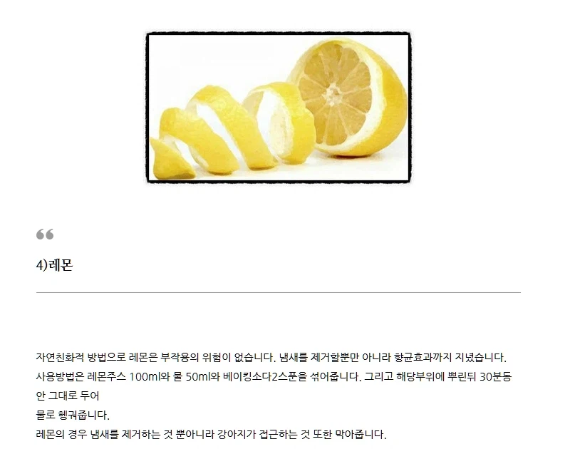 트릭컬)R41타이다는 왜 (?)를 뿌렸나?_1.webp