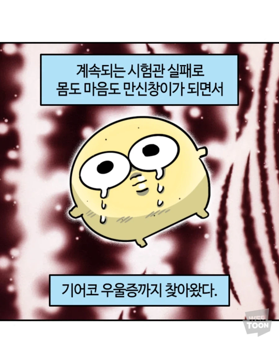 노산관련 불편해 하는 사람들이 있는 이유_8.webp