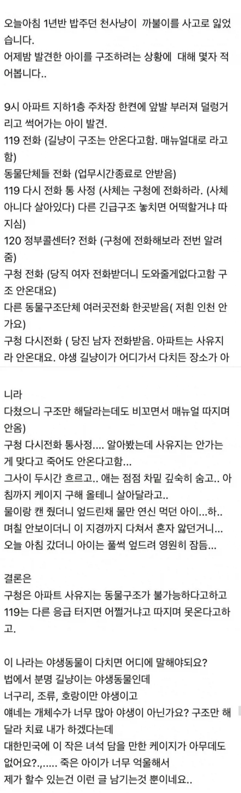 119가 안와서 울분을 토하는 캣맘_1.webp