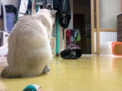 [라온이의 15번째 생일! 15년 압축 돌아보기]_2.webp