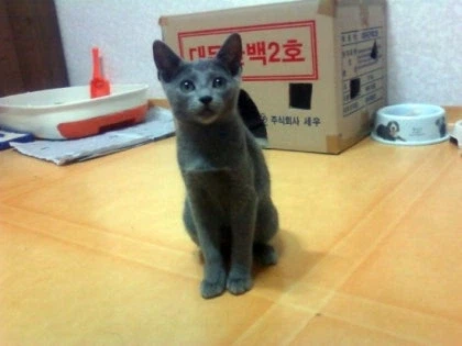 [라온이의 15번째 생일! 15년 압축 돌아보기]_11.webp