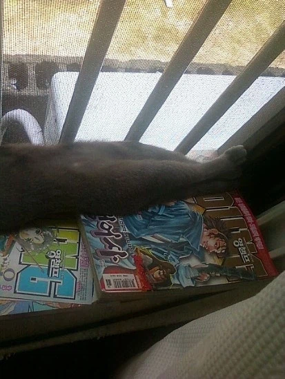 [라온이의 15번째 생일! 15년 압축 돌아보기]_17.webp