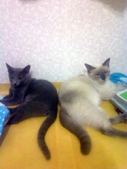 [라온이의 15번째 생일! 15년 압축 돌아보기]_18.webp