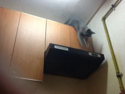 [라온이의 15번째 생일! 15년 압축 돌아보기]_32.webp