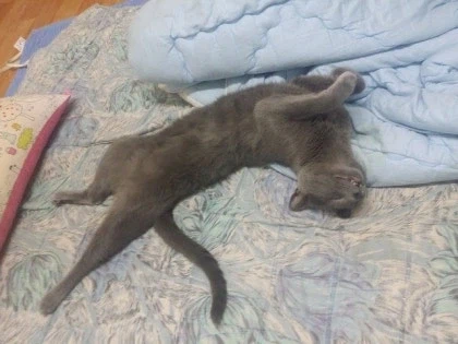 [라온이의 15번째 생일! 15년 압축 돌아보기]_39.webp