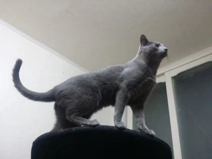 [라온이의 15번째 생일! 15년 압축 돌아보기]_45.webp