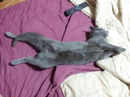 [라온이의 15번째 생일! 15년 압축 돌아보기]_52.webp