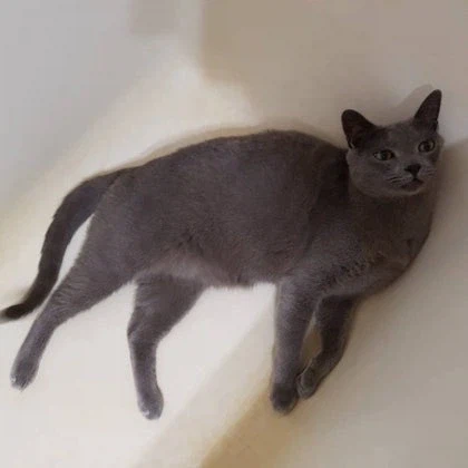 [라온이의 15번째 생일! 15년 압축 돌아보기]_58.webp