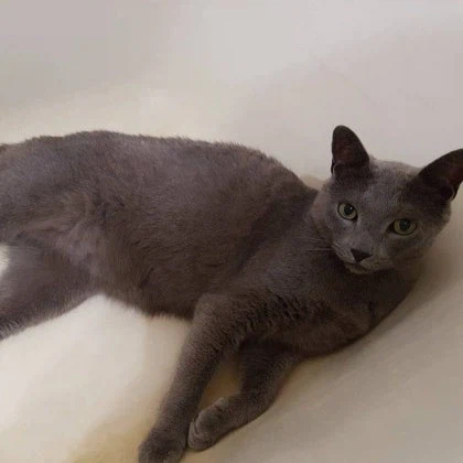 [라온이의 15번째 생일! 15년 압축 돌아보기]_59.webp