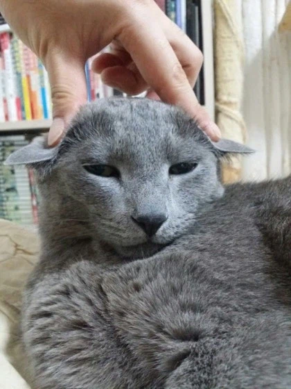 [라온이의 15번째 생일! 15년 압축 돌아보기]_73.webp