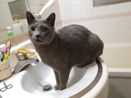 [라온이의 15번째 생일! 15년 압축 돌아보기]_77.webp