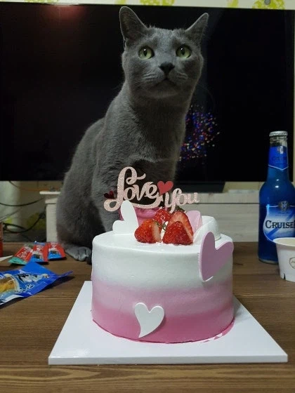 [라온이의 15번째 생일! 15년 압축 돌아보기]_79.webp