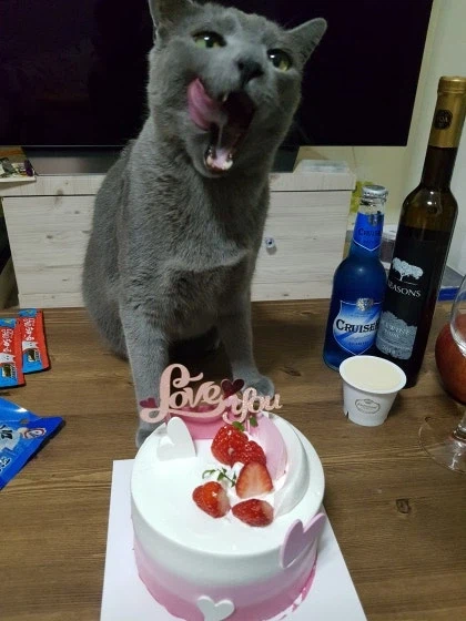 [라온이의 15번째 생일! 15년 압축 돌아보기]_80.webp