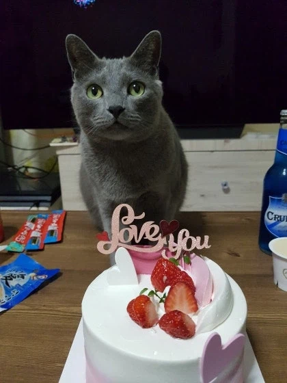 [라온이의 15번째 생일! 15년 압축 돌아보기]_81.webp