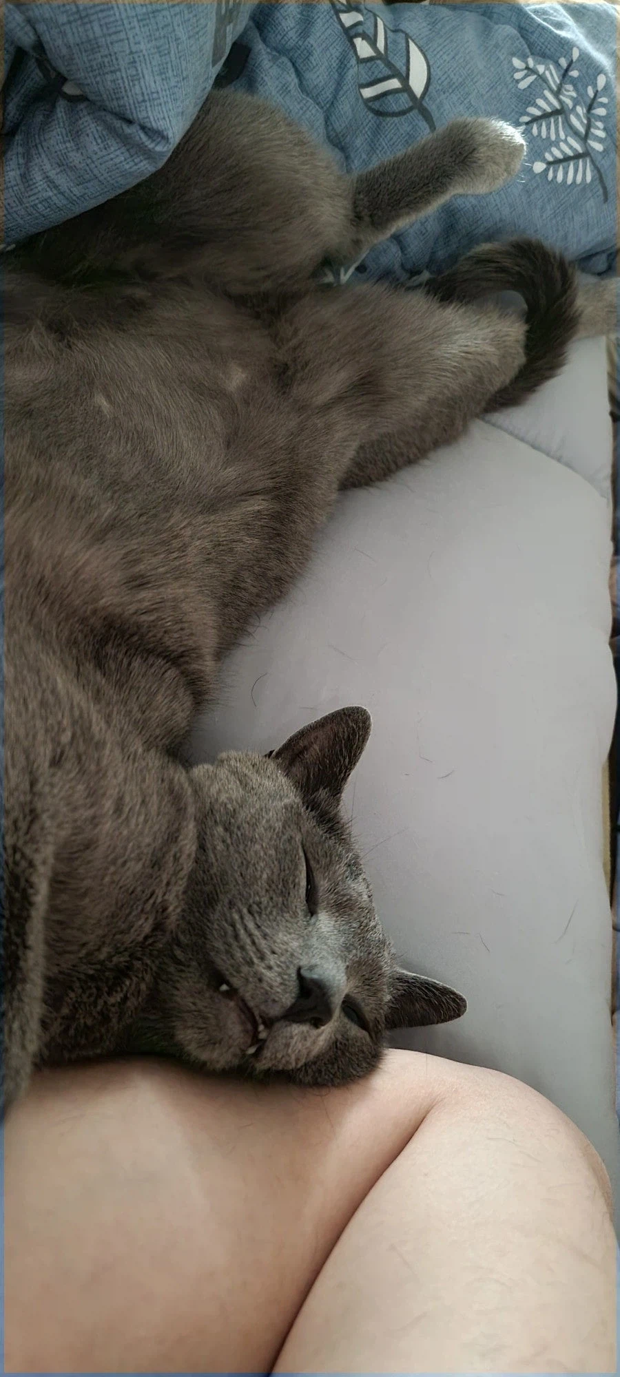 [라온이의 15번째 생일! 15년 압축 돌아보기]_93.webp