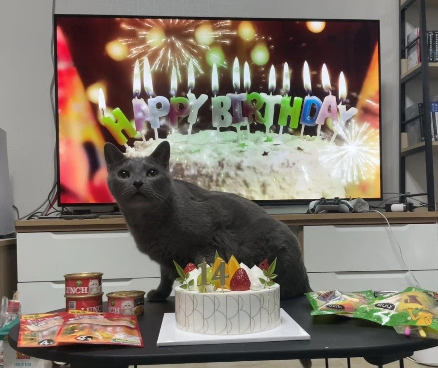 [라온이의 15번째 생일! 15년 압축 돌아보기]_113.webp