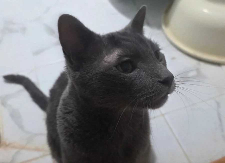 [라온이의 15번째 생일! 15년 압축 돌아보기]_123.webp