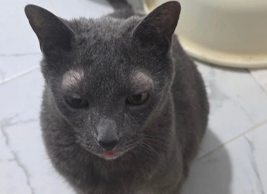 [라온이의 15번째 생일! 15년 압축 돌아보기]_124.webp