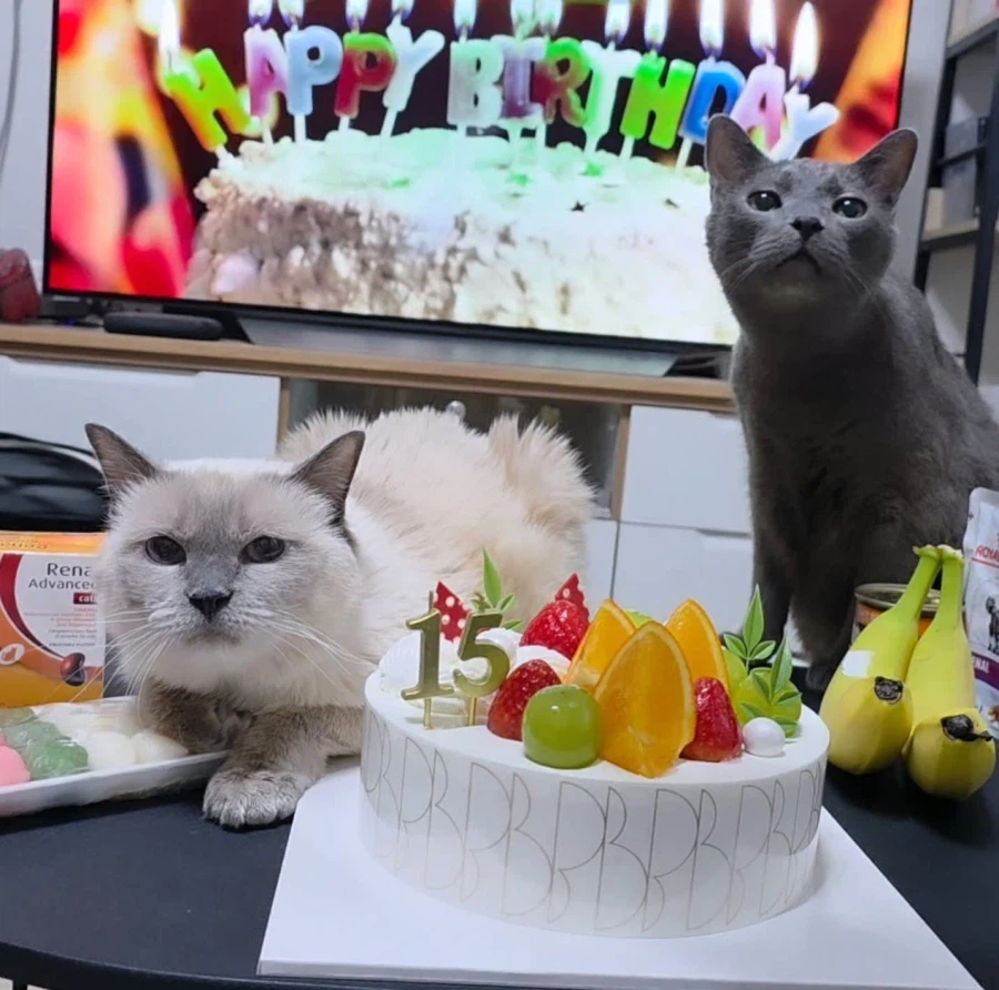 [라온이의 15번째 생일! 15년 압축 돌아보기]_136.webp